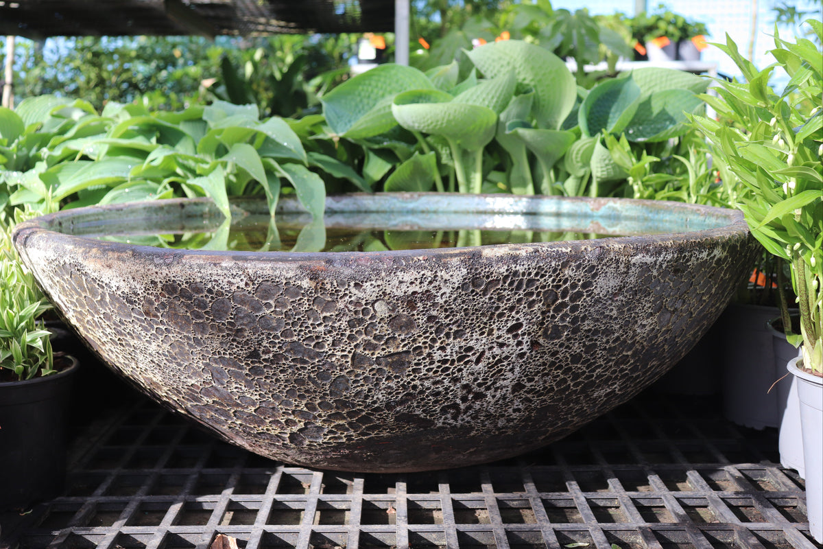 Ocean Rock Pond Bowl