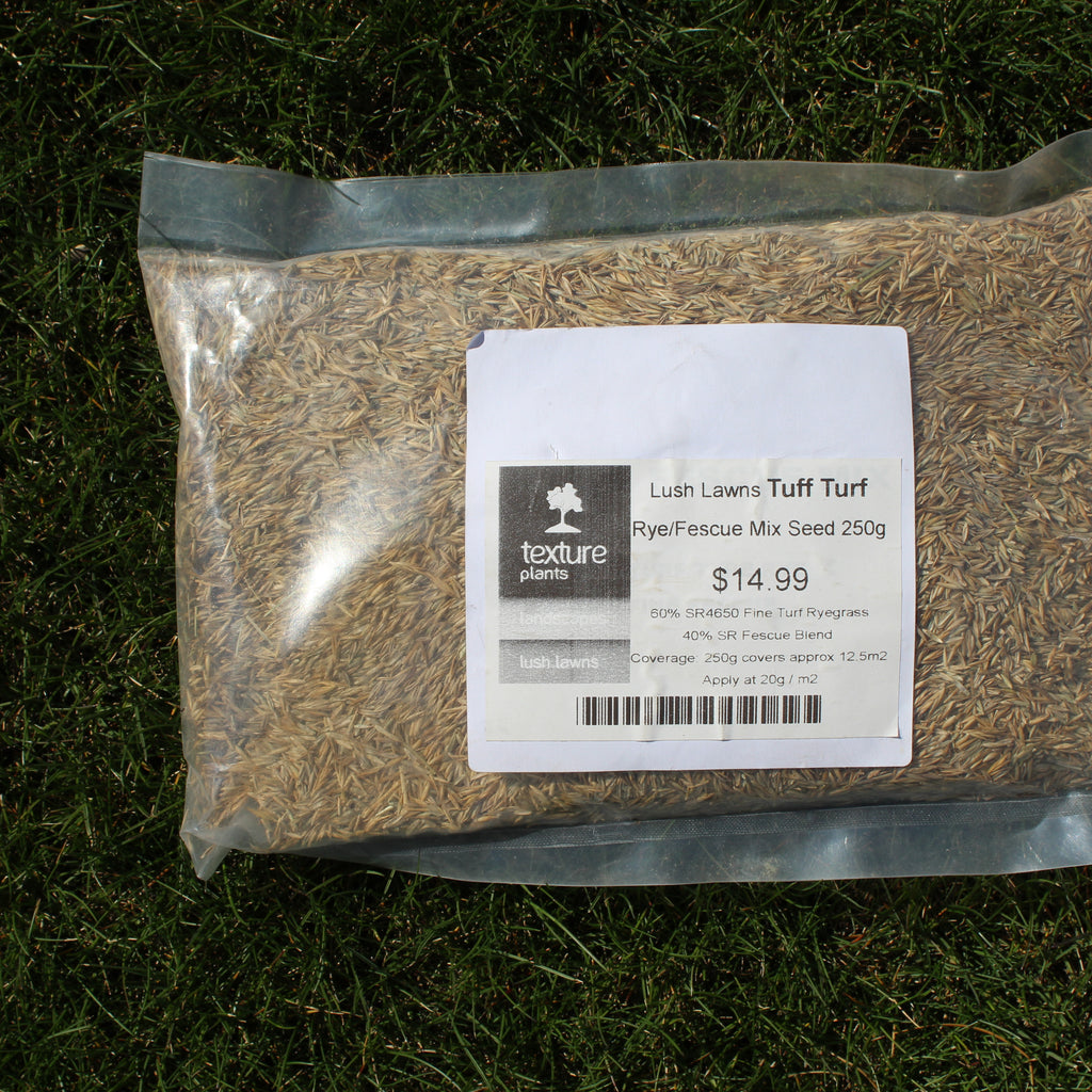 Lush Lawns Tuff Turf Rye/Fescue Mix Seed Image