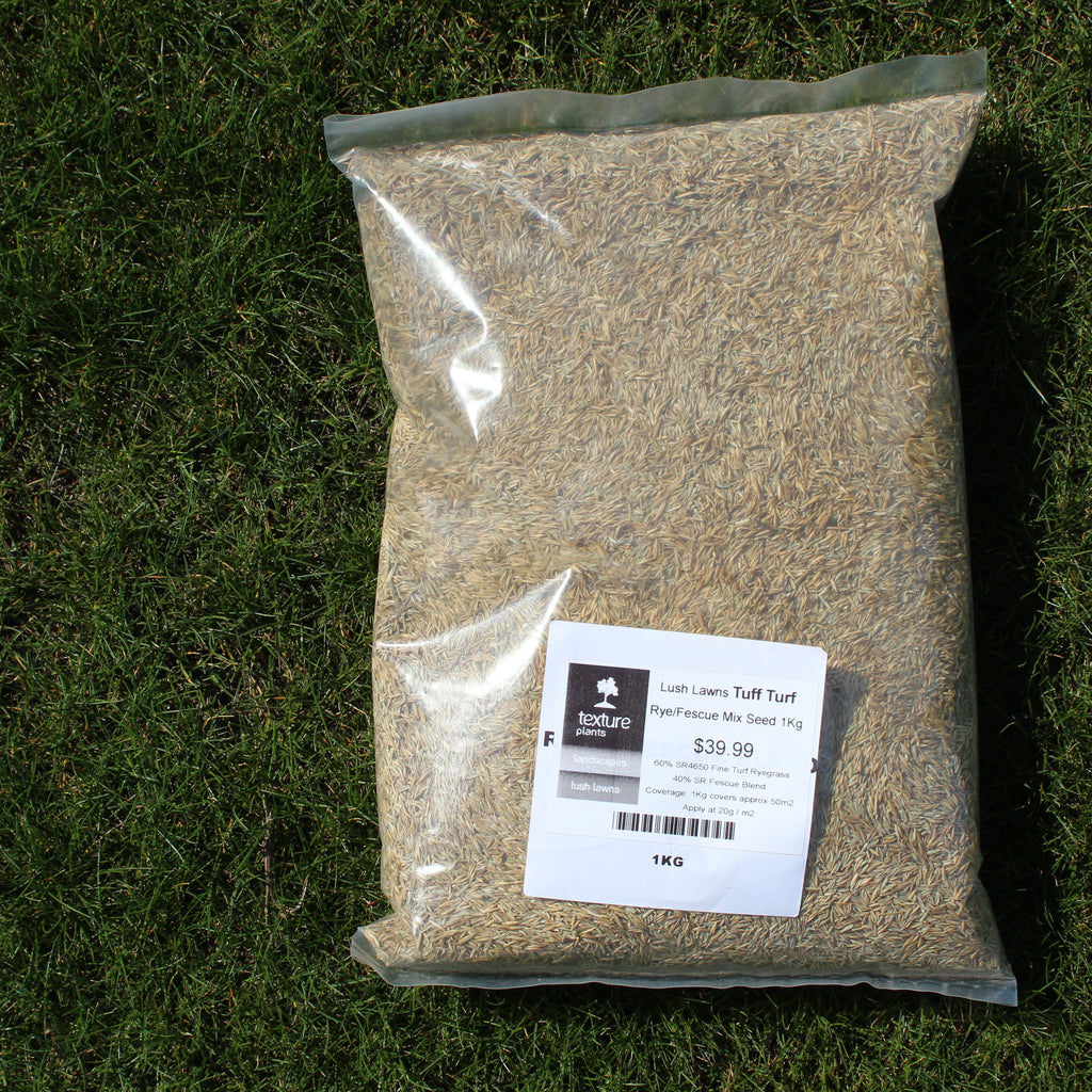 Lush Lawns Tuff Turf Rye/Fescue Mix Seed Image