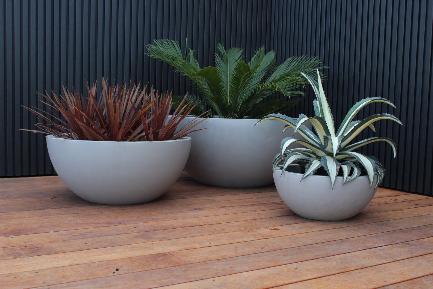Barcelona Bowl Planter