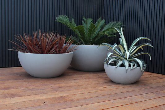 Barcelona Bowl Planter