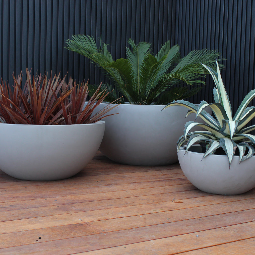Barcelona Bowl Planter Image