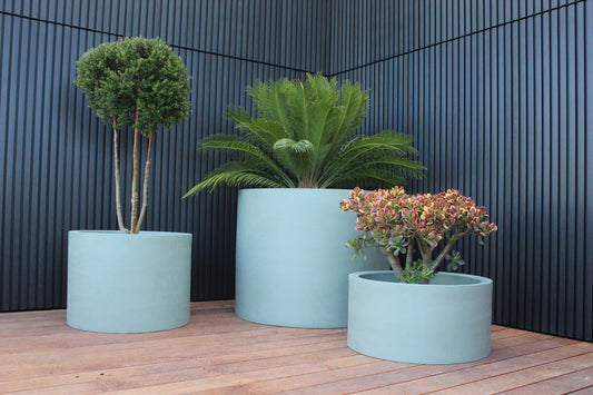 Cylindrus Planter