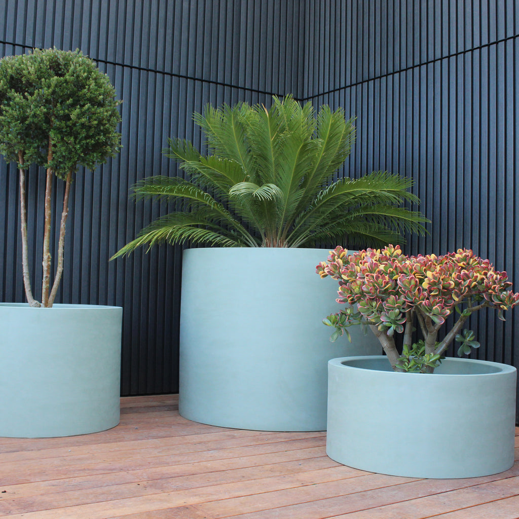 Cylindrus Planter Image