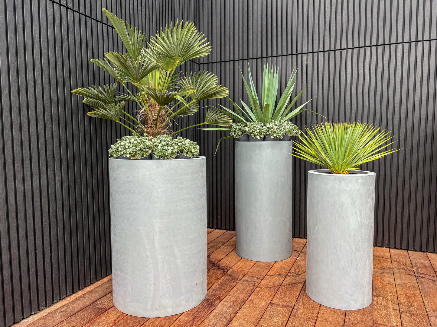 Cylindrus Planter 2