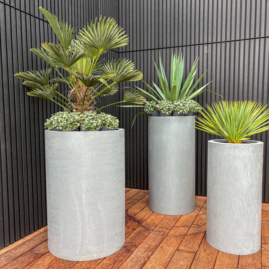 Cylindrus Planter Image