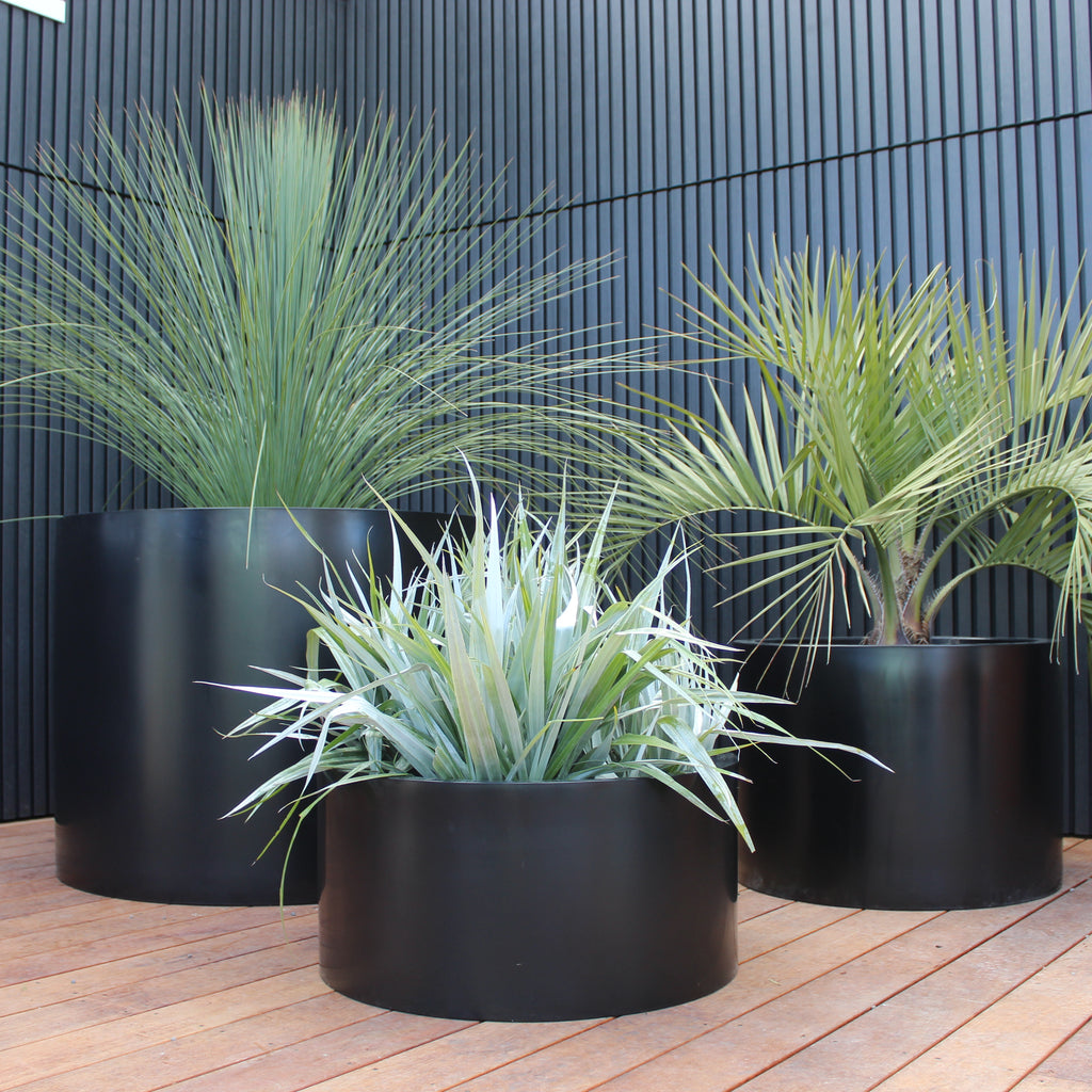 Cylindrus Planter Image