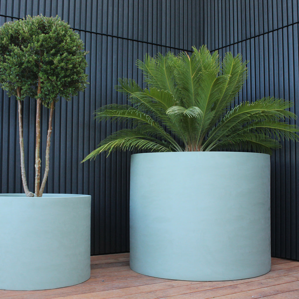 Cylindrus Planter Image