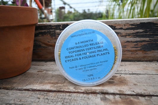 Fertiliser Palm/Cycad