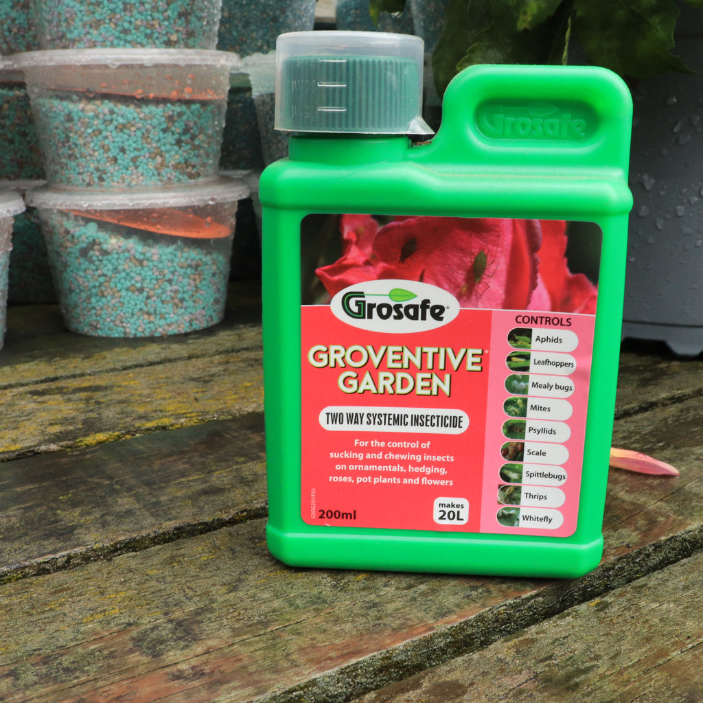 Groventive Garden Image