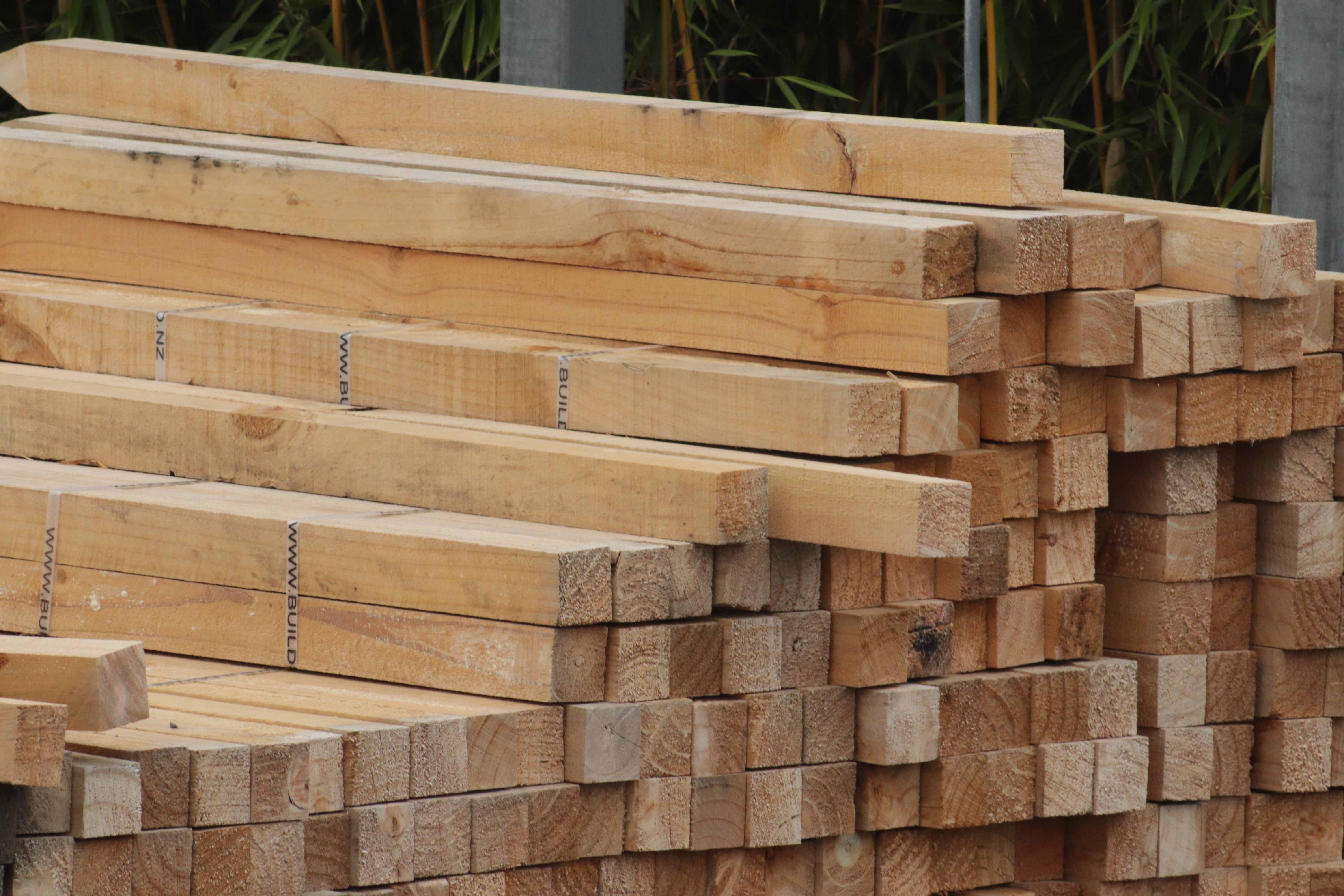 Wooden stakes – Texture Plants, Landscapes, Lush Lawns Christchurch