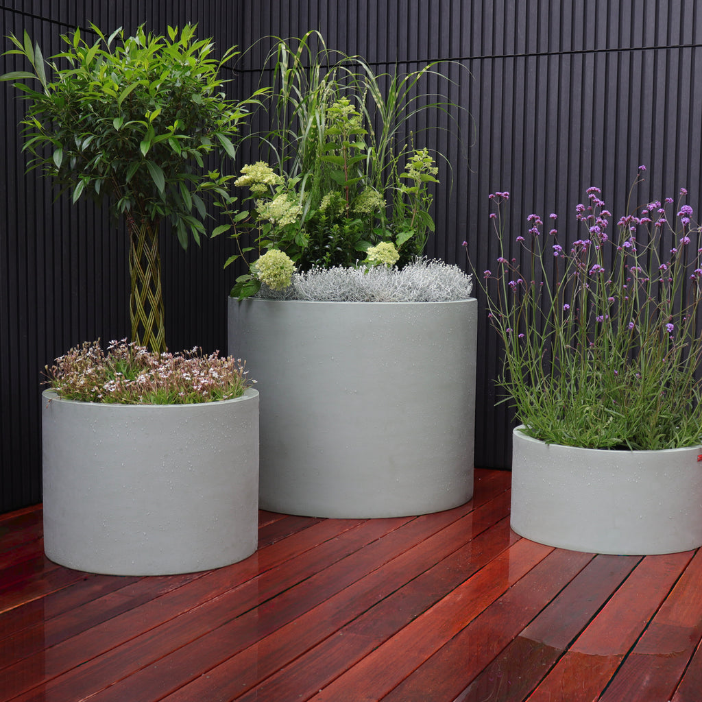 Cylindrus Planter Image