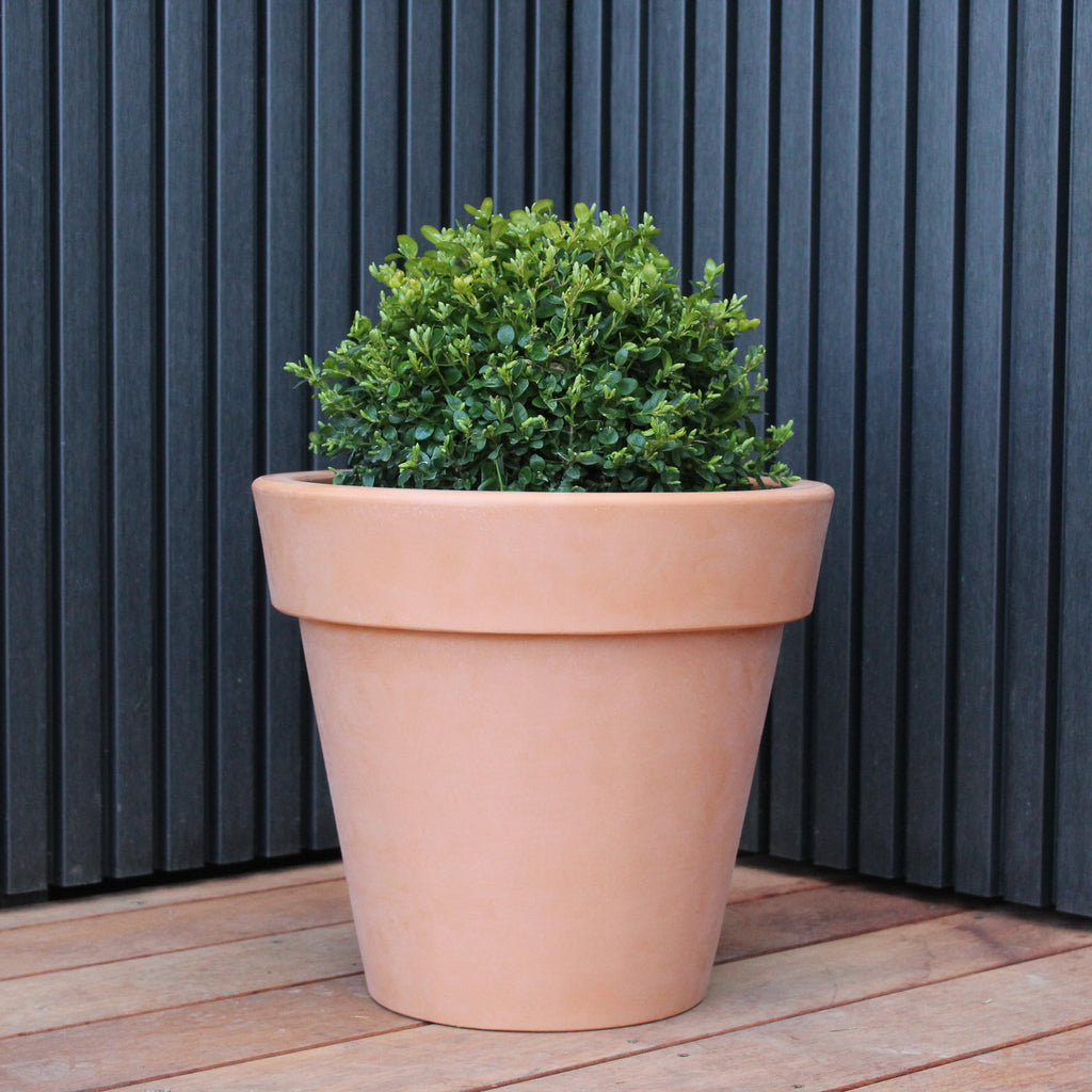 Madrid Planter Image