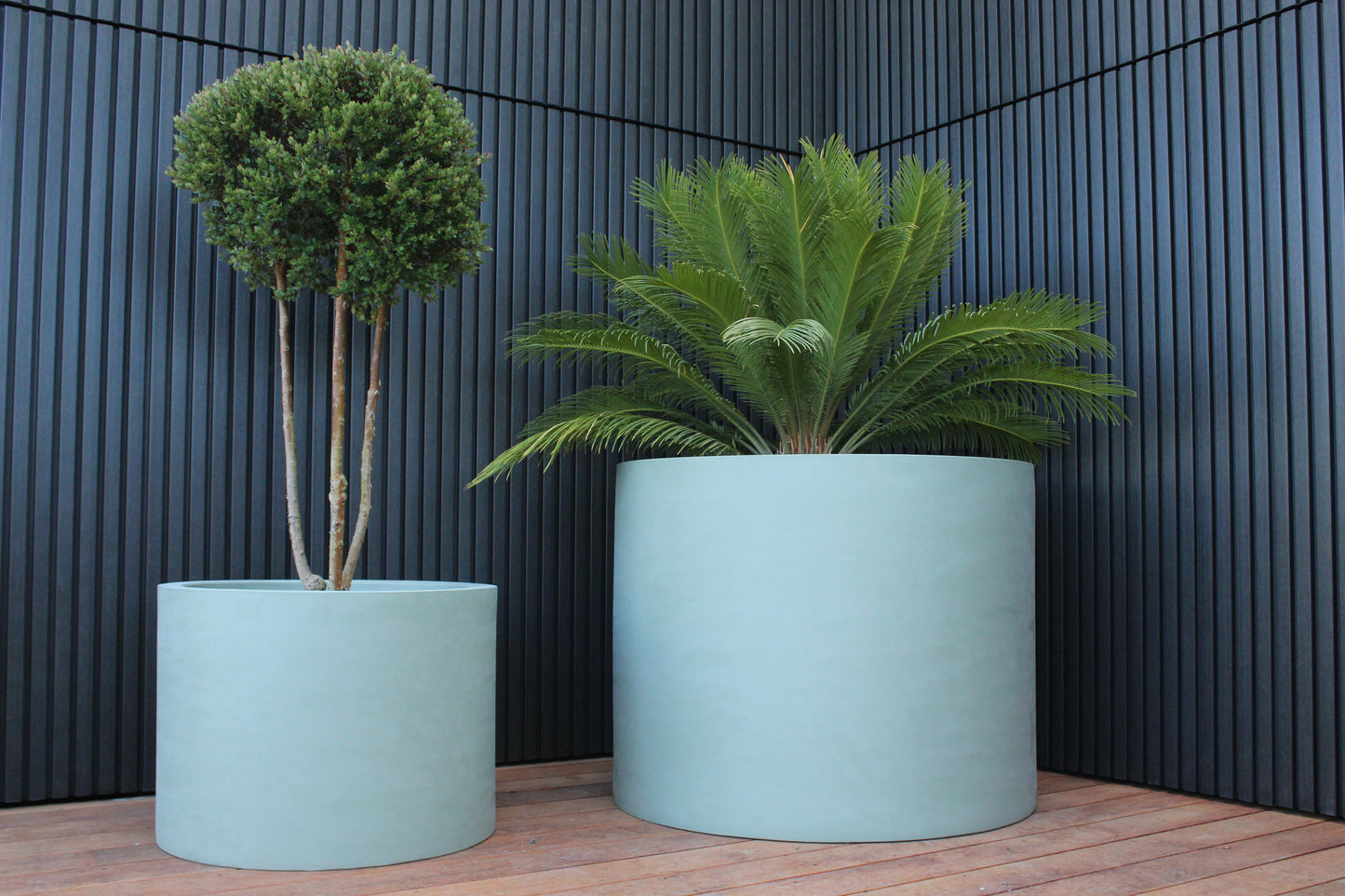 Cylindrus Planter