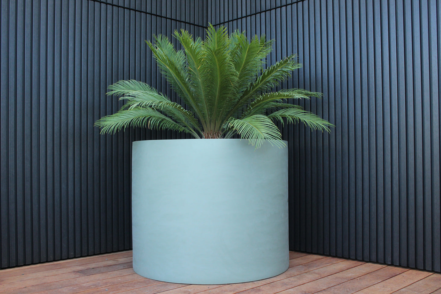 Cylindrus Planter