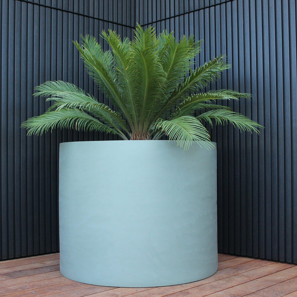 Cylindrus Planter Image