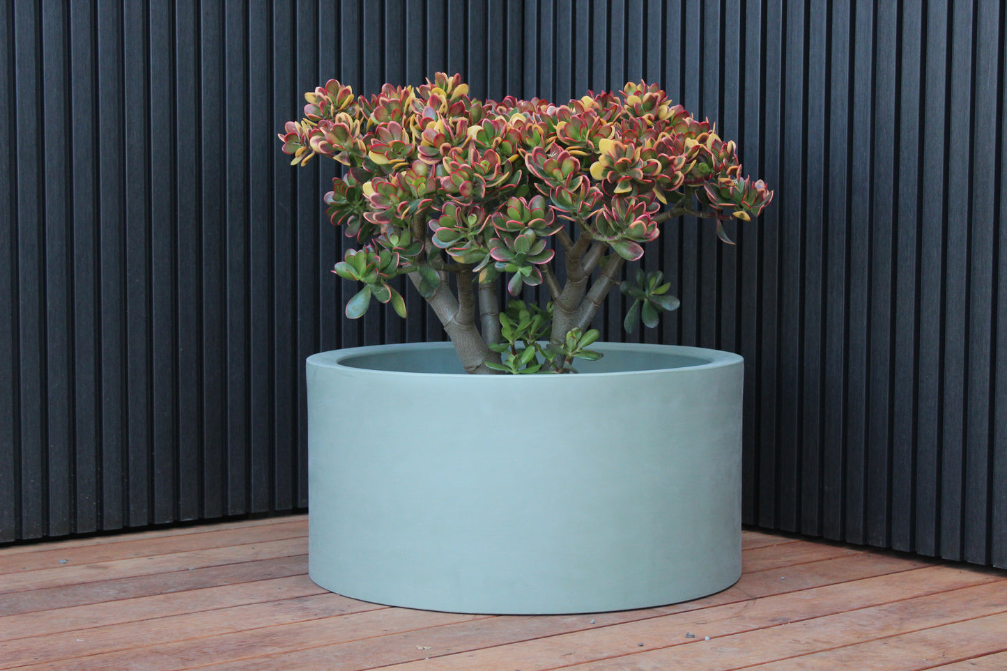 Cylindrus Planter