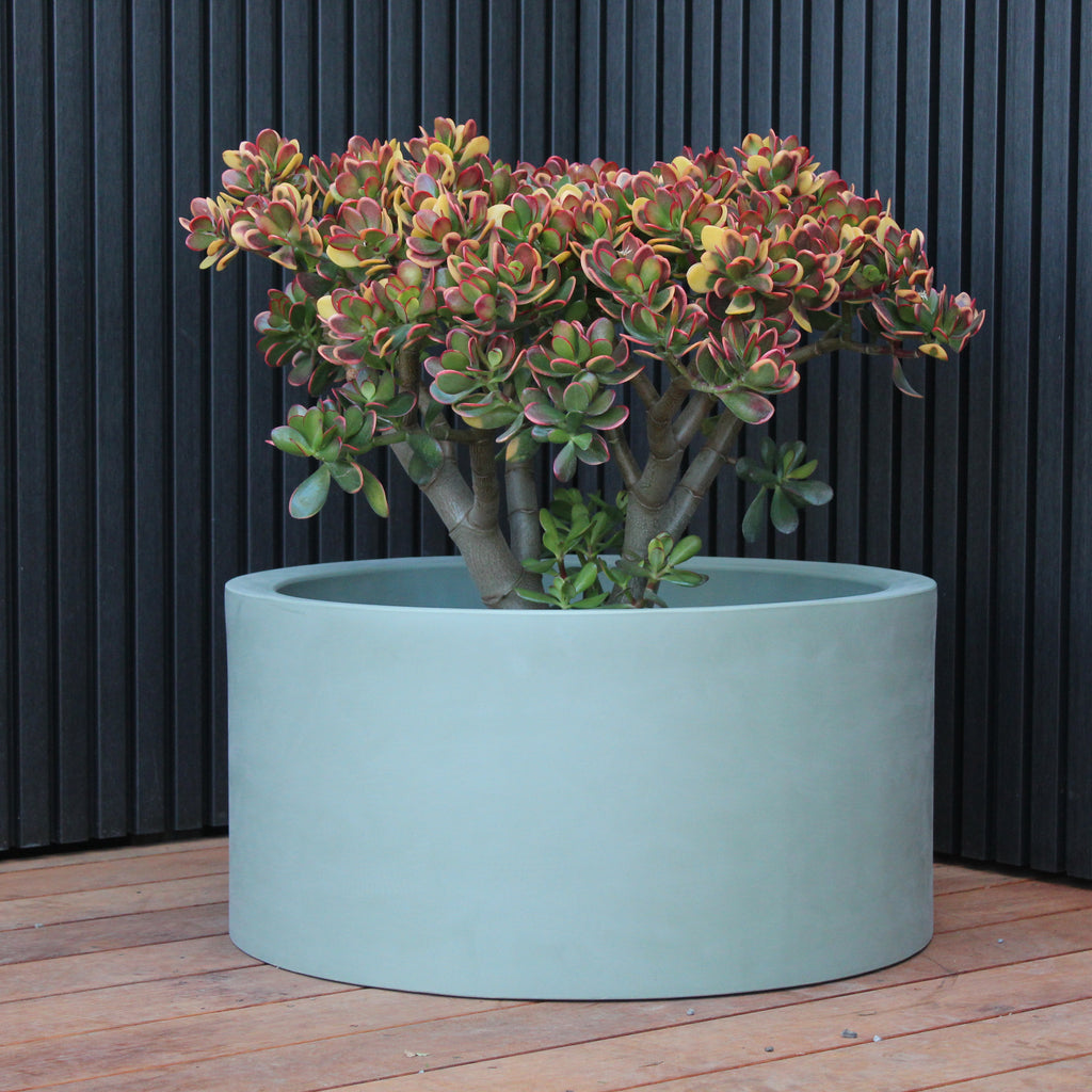 Cylindrus Planter Image