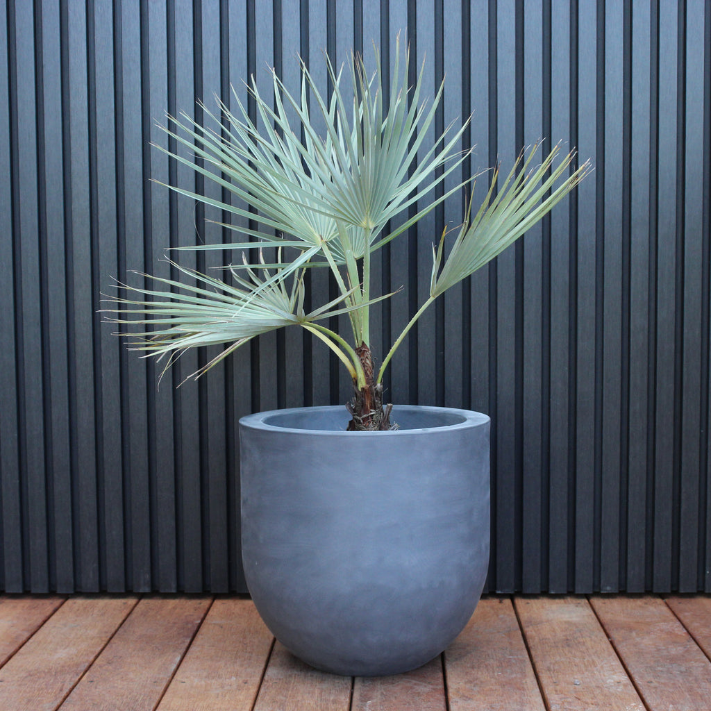 Lisbon Planter Image