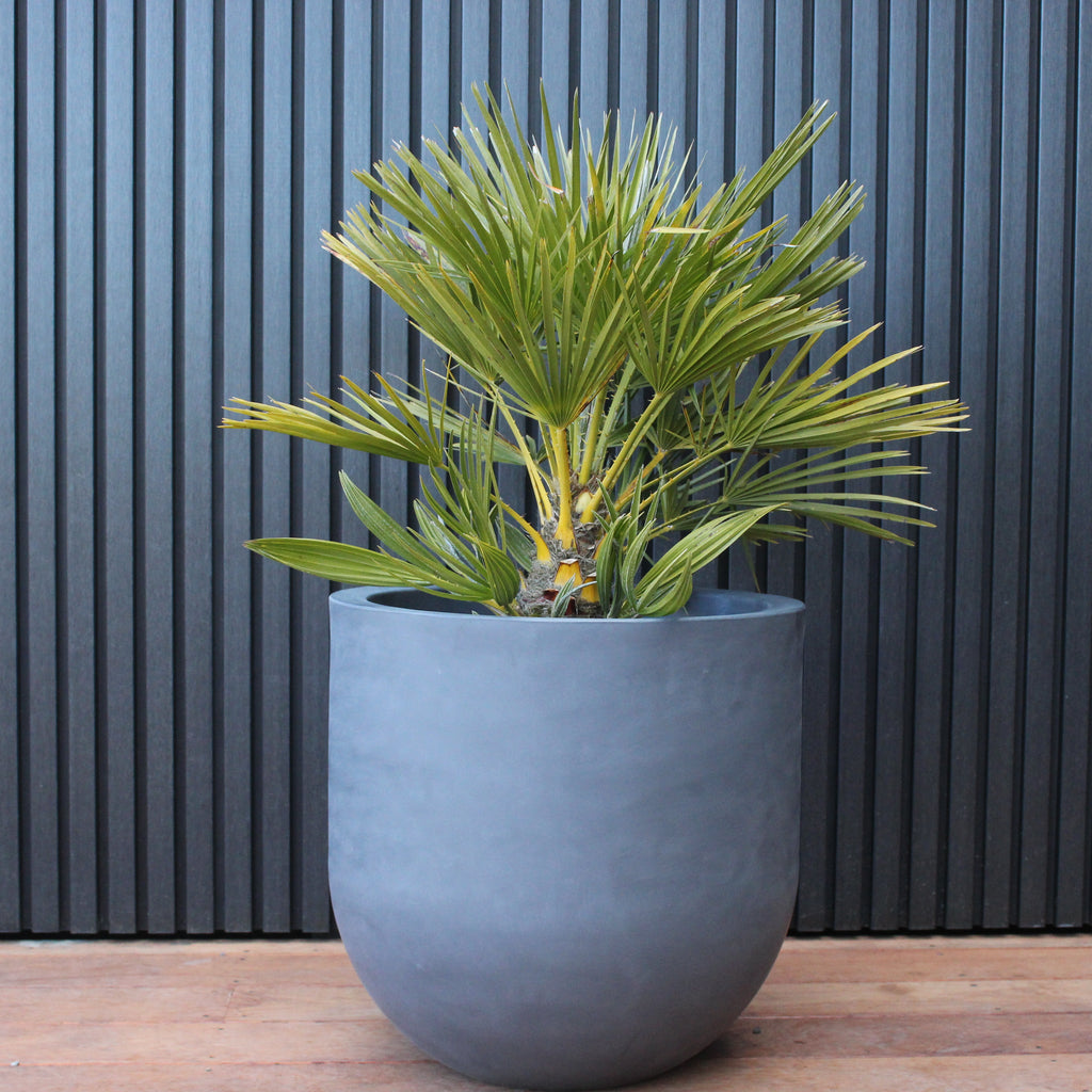 Lisbon Planter Image