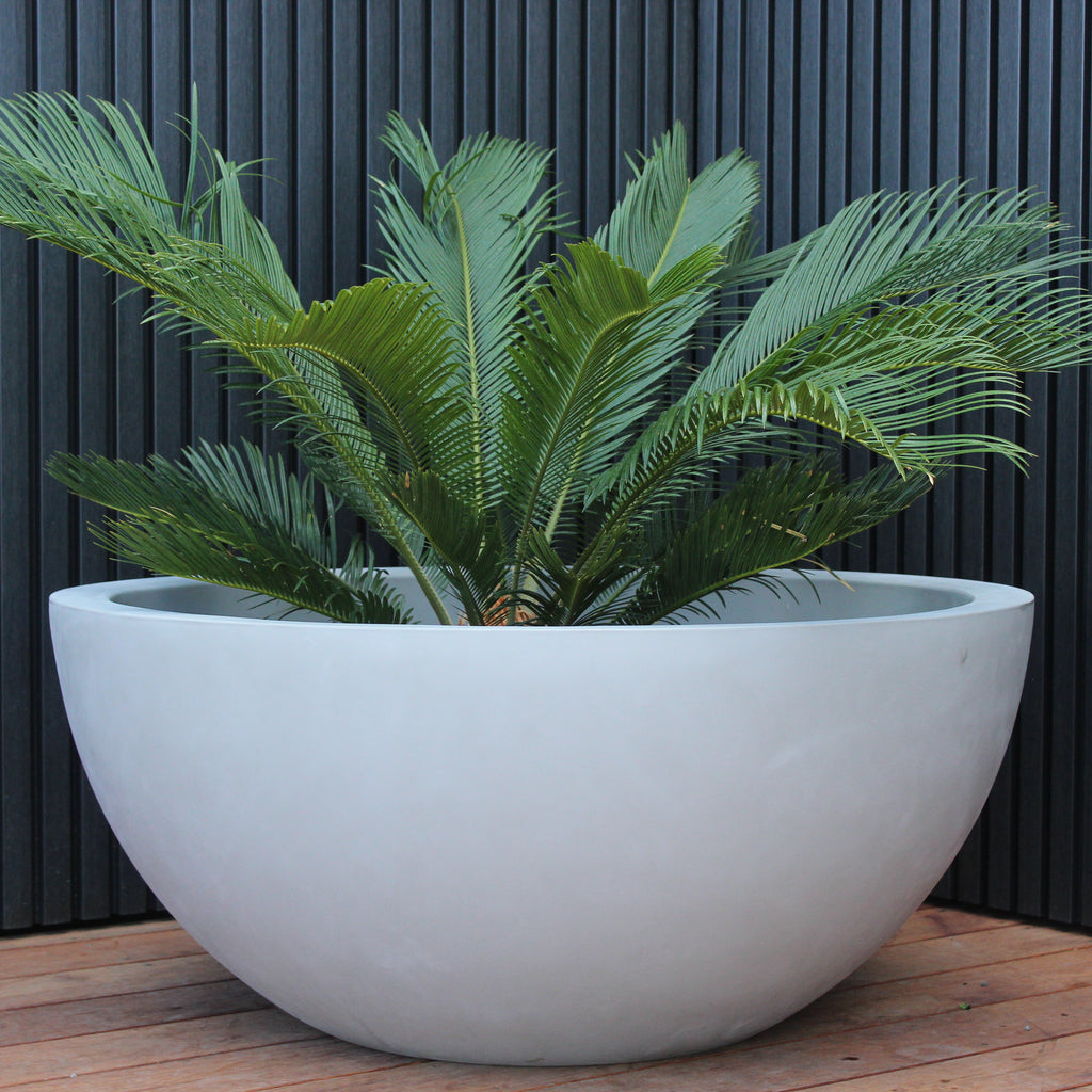 Barcelona Bowl Planter Image