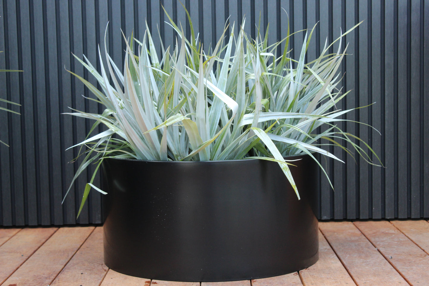 Cylindrus Planter