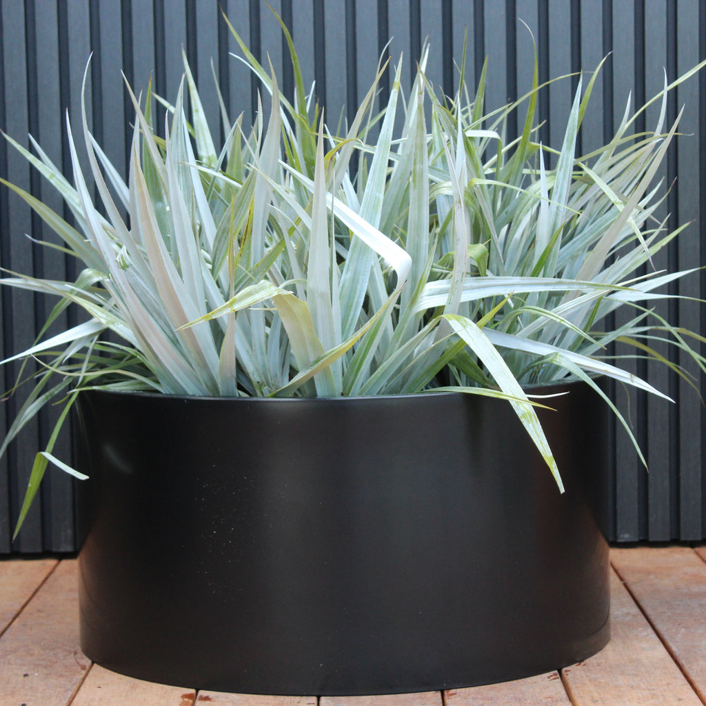 Cylindrus Planter Image