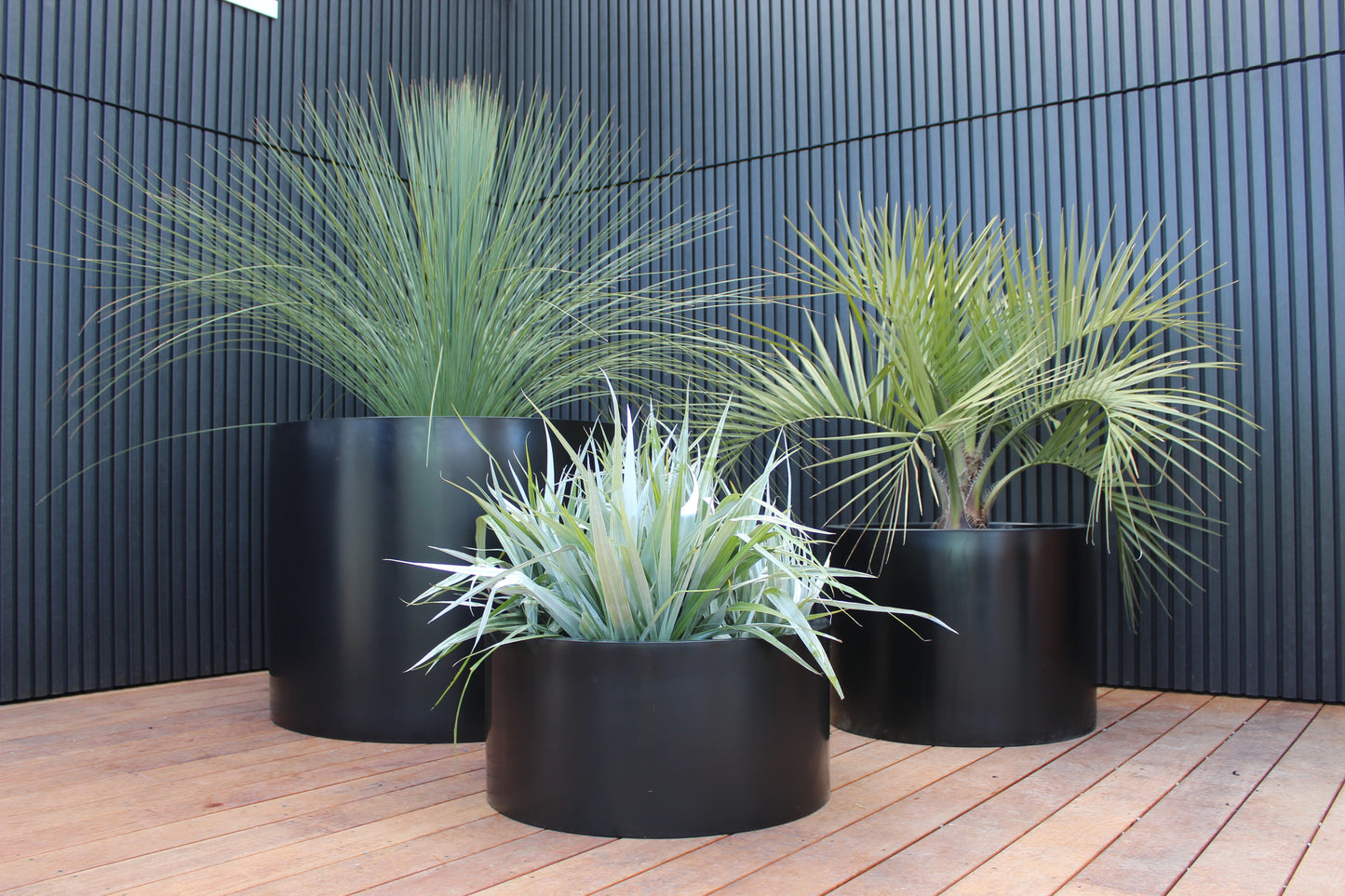 Cylindrus Planter