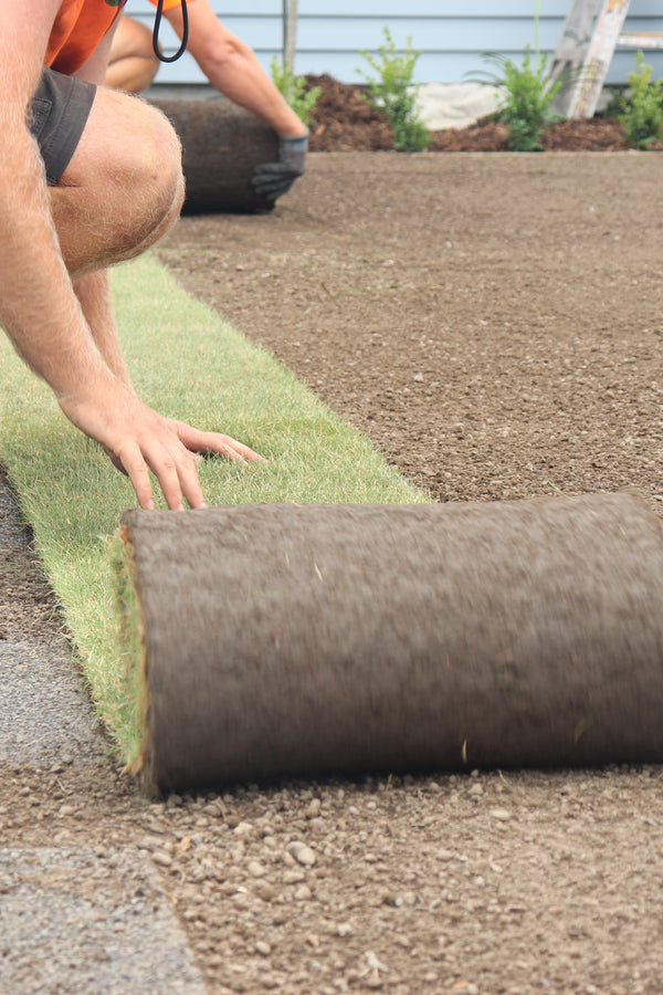 Plan and Lay the Turf