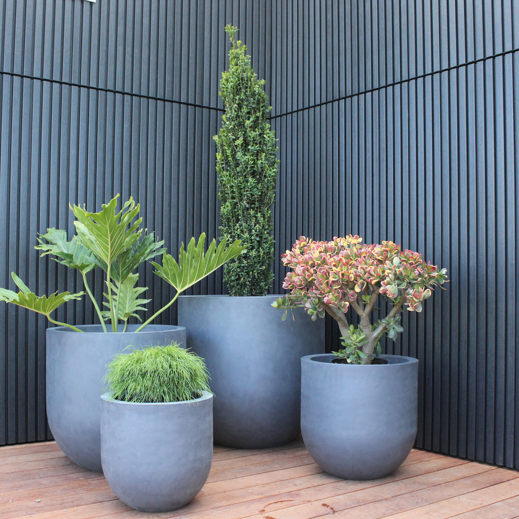 Lisbon Planter Image