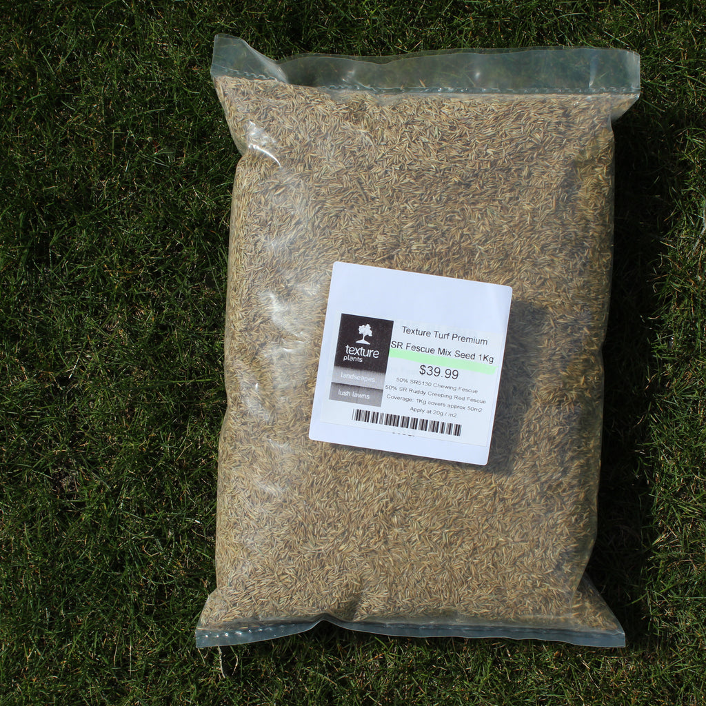 Lush Lawns Texture Turf Fescue Mix Seed Image