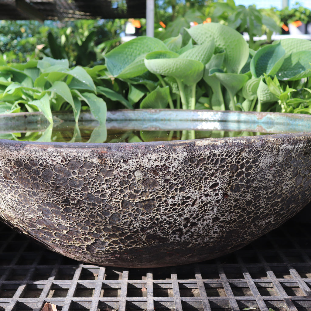 Ocean Rock Pond Bowl Image