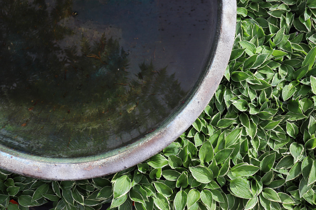 Ocean Rock Pond Bowl 2