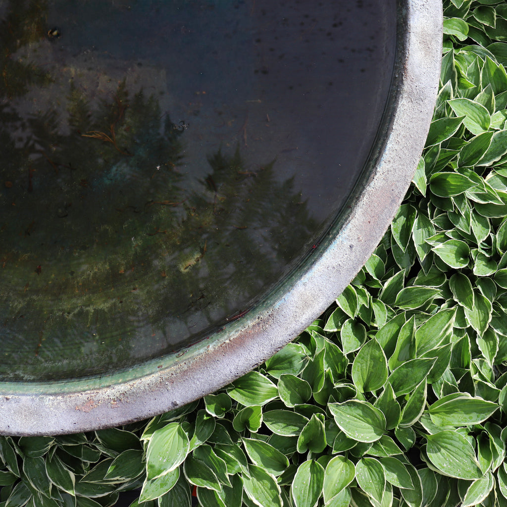 Ocean Rock Pond Bowl Image