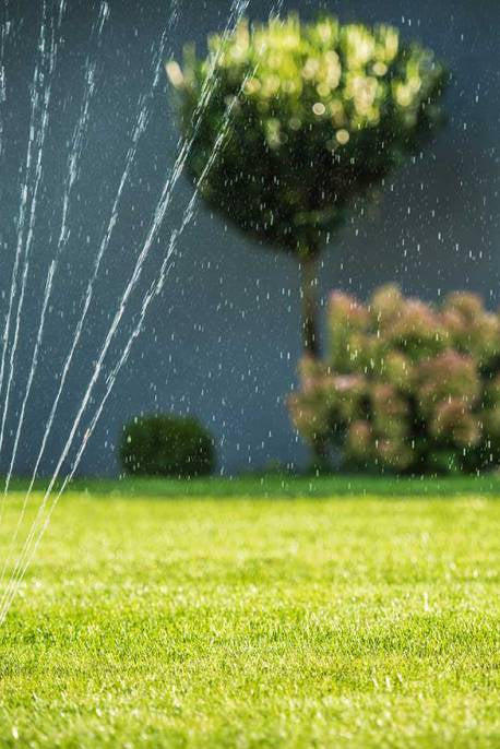 Water and Establish