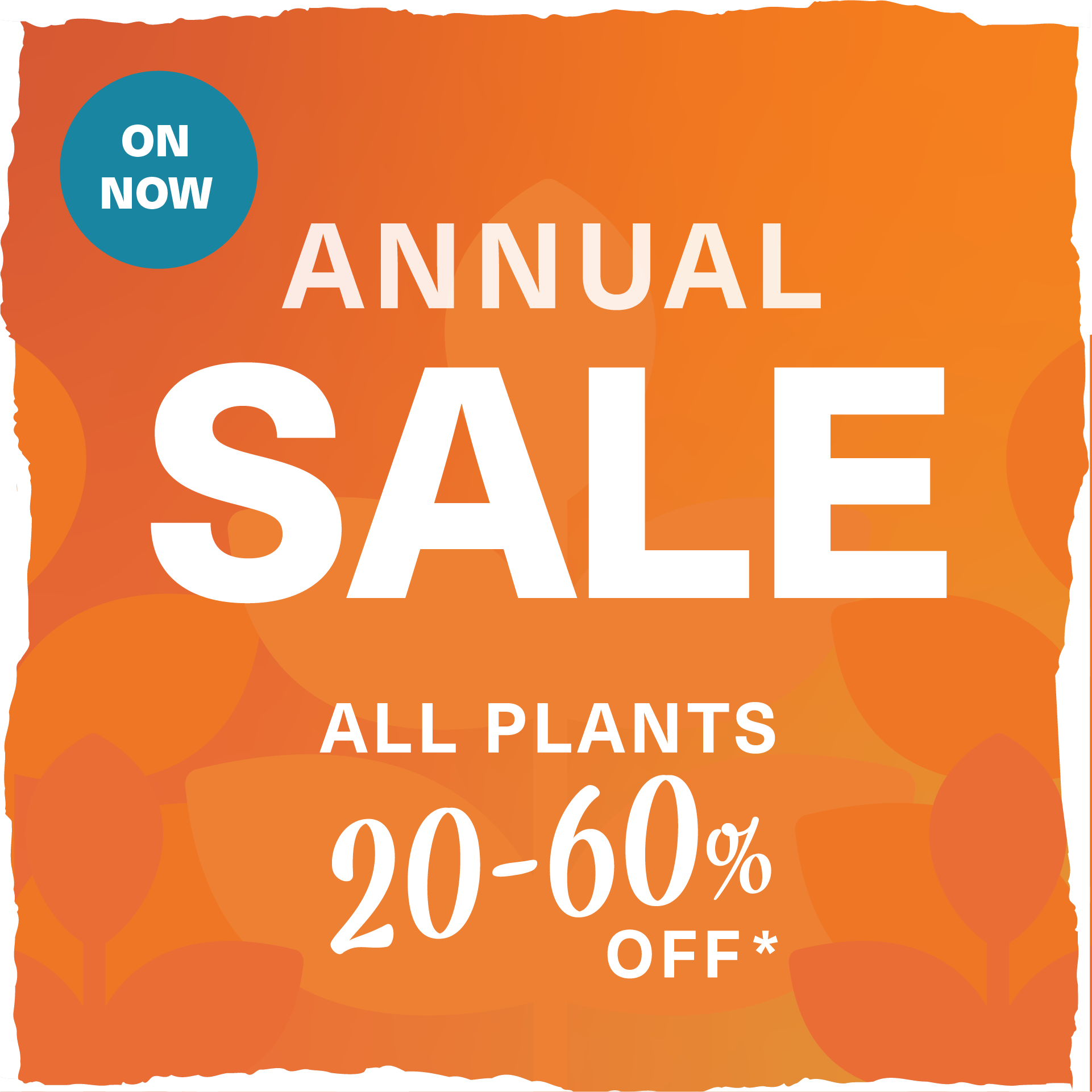 Annual Sale